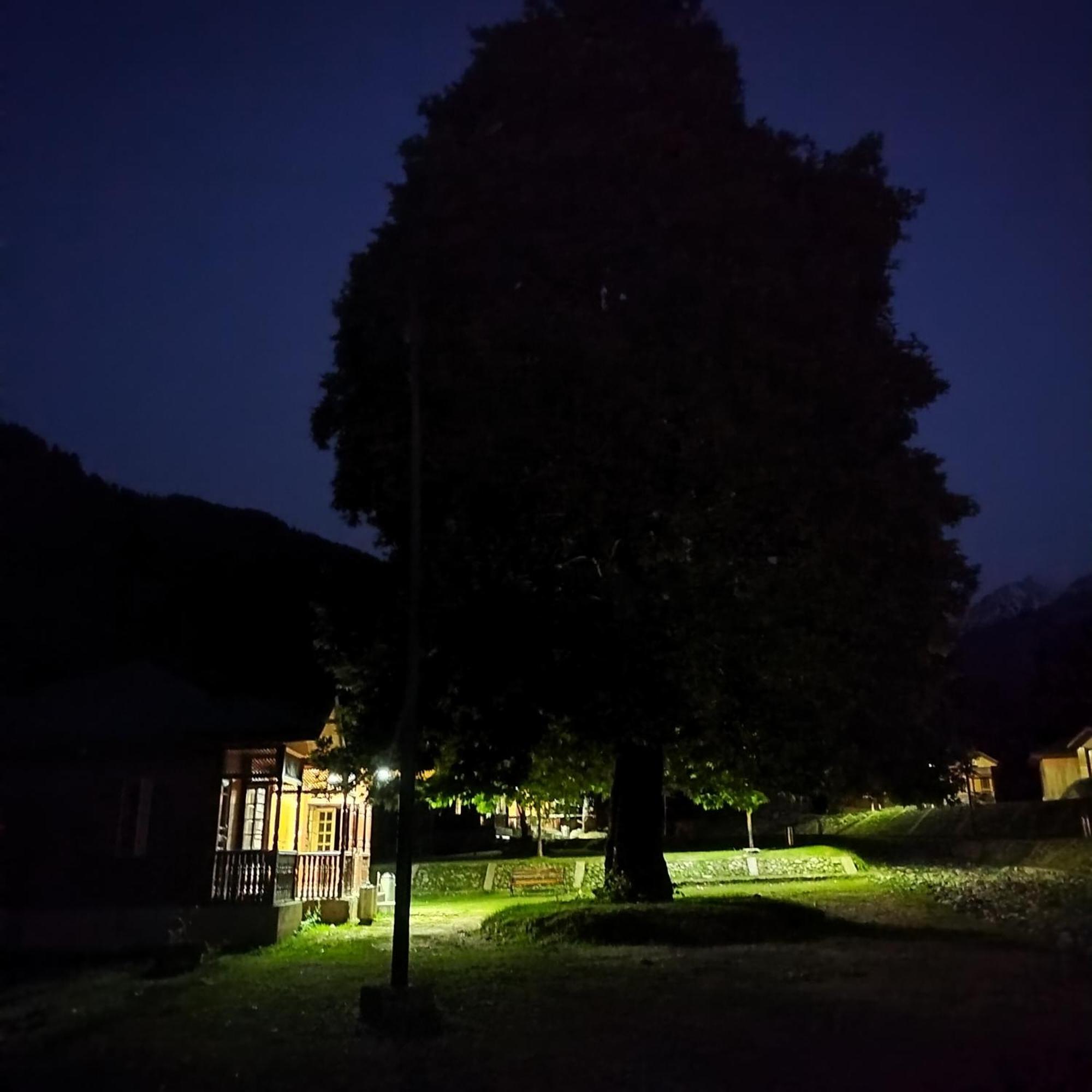 Grand View Resorts Chatpal Anantnag Exterior photo